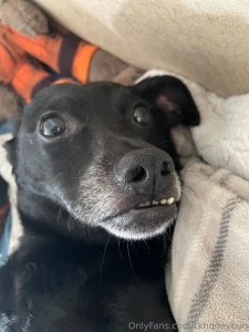 Ok i must share this today my sweet boi lost his tooth he has had an part 2