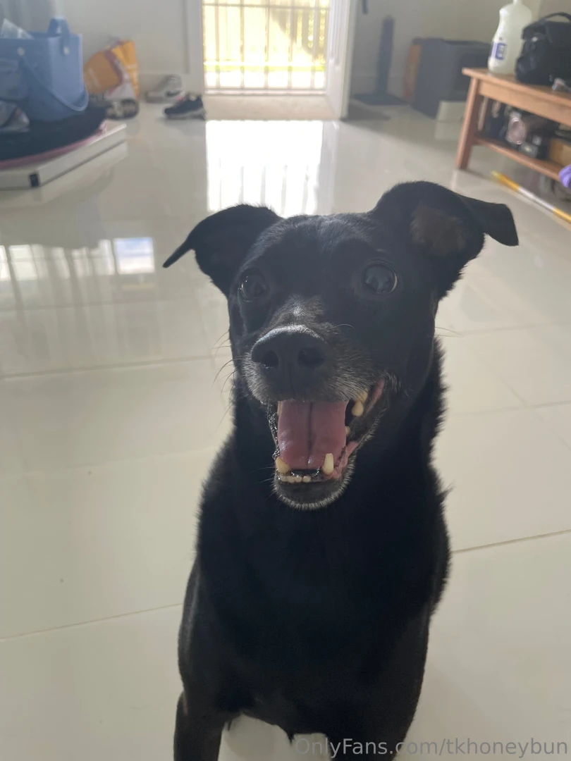 Ok i must share this today my sweet boi lost his tooth he has had an 