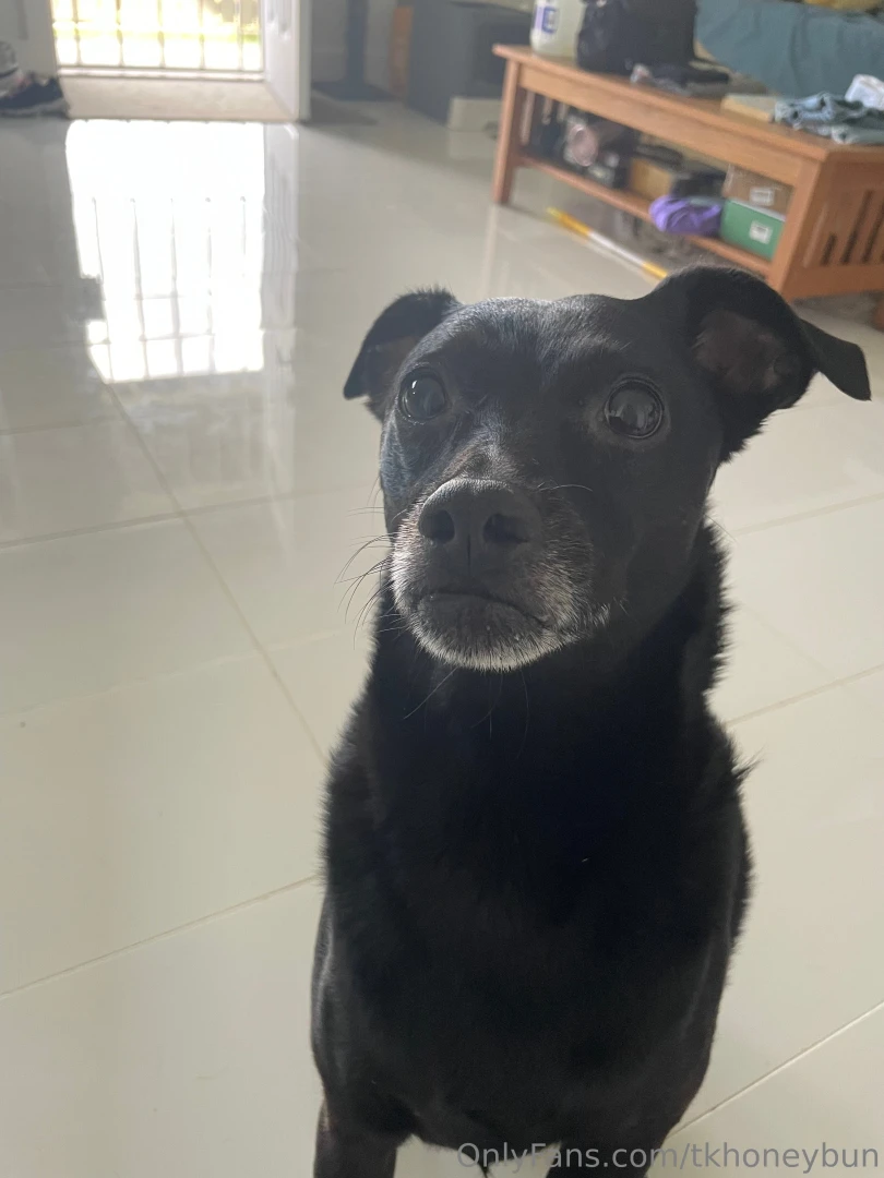 Ok i must share this today my sweet boi lost his tooth he has had an part 1 