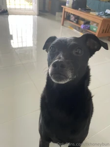 Ok i must share this today my sweet boi lost his tooth he has had an part 1