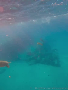 I wonder what spooked the little guy shangerdanger