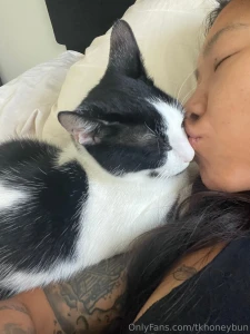 Cuddly christmas cat