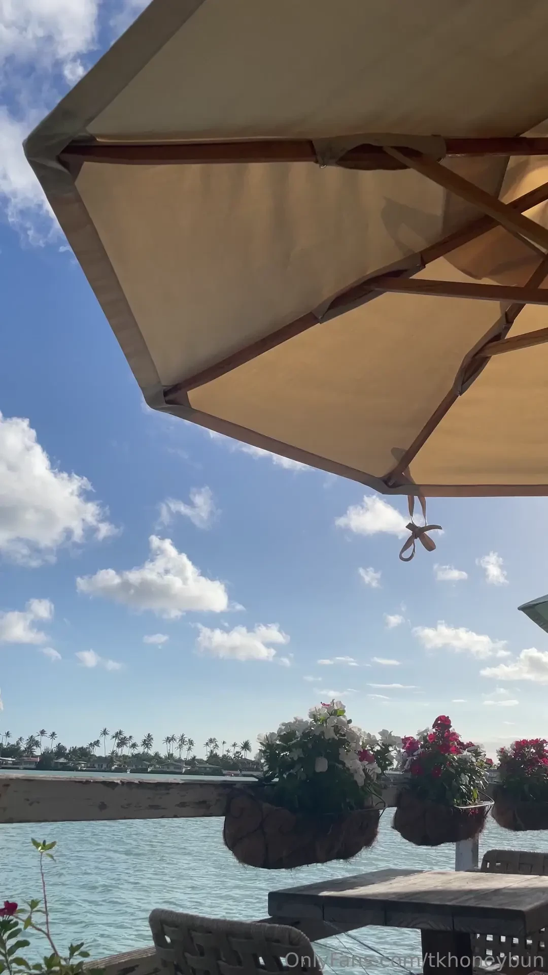 Get after it today part 2 