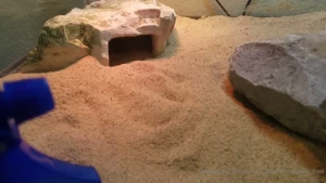 I finally finished my dragon s enclosures which means that all my