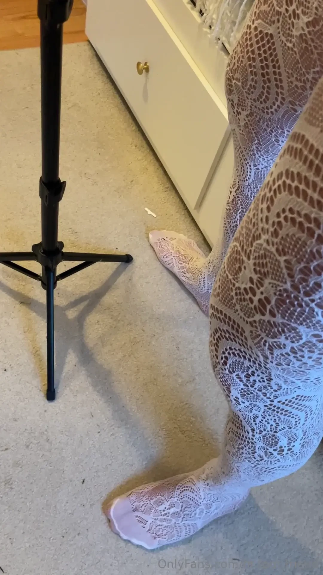 Good morgning what about all white 