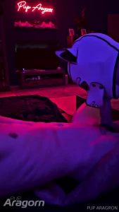 Yesterday after the puppynight in the babylon sauna nanook sucked