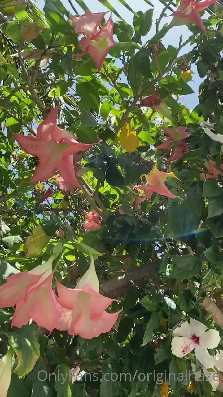 Pov u on a breakfast date w me wat we gonna talk about 