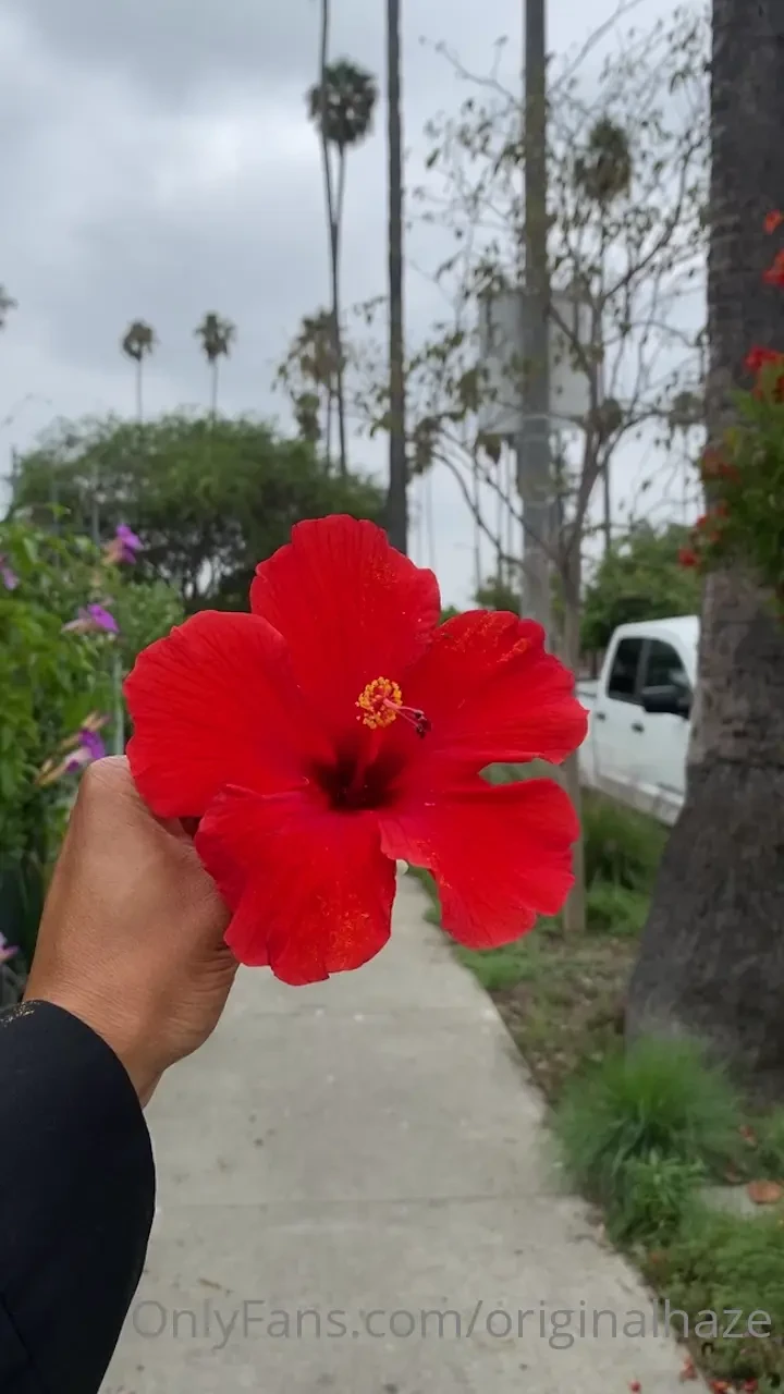 Pov u on a breakfast date w me wat we gonna talk about part 1 