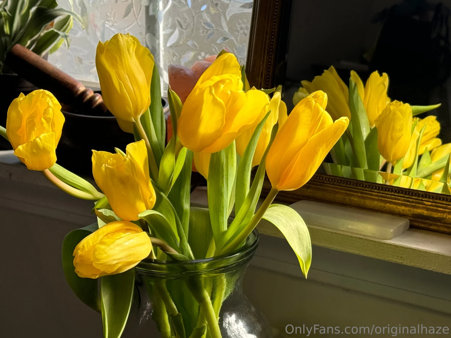 Glad i got to see my tulips bloom part 1 