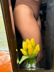 Glad i got to see my tulips bloom part 2