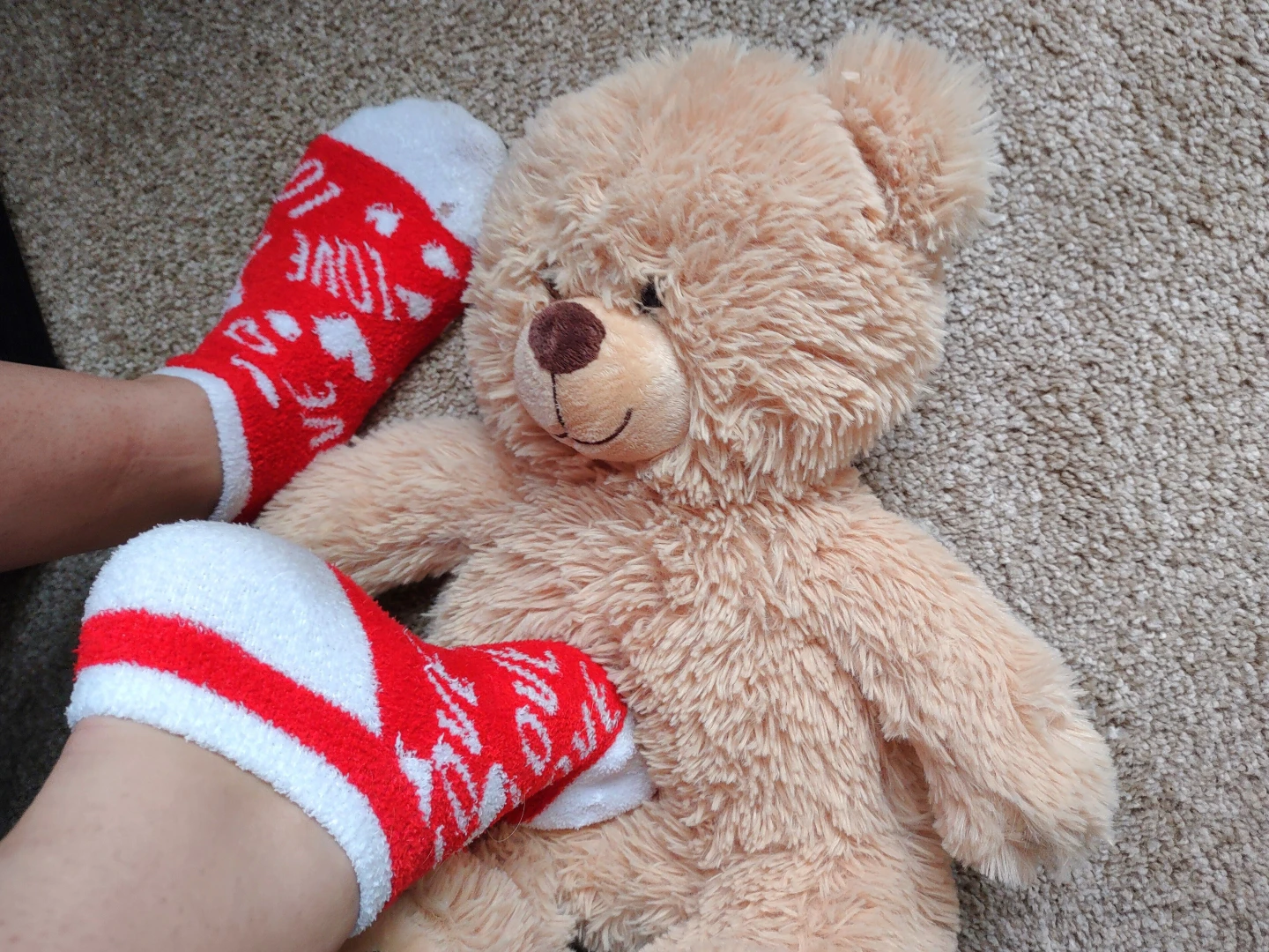 Did you have a nice valentine s day part 1 