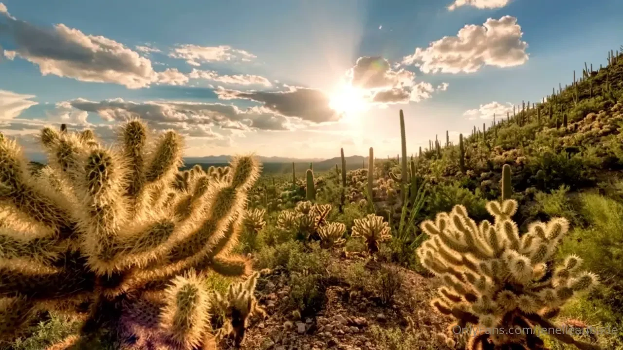 First view for you this is my new video for solo a song off of my 