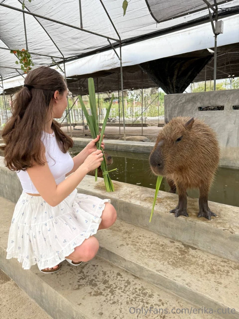It s just me feeding the capybara how s your day going 