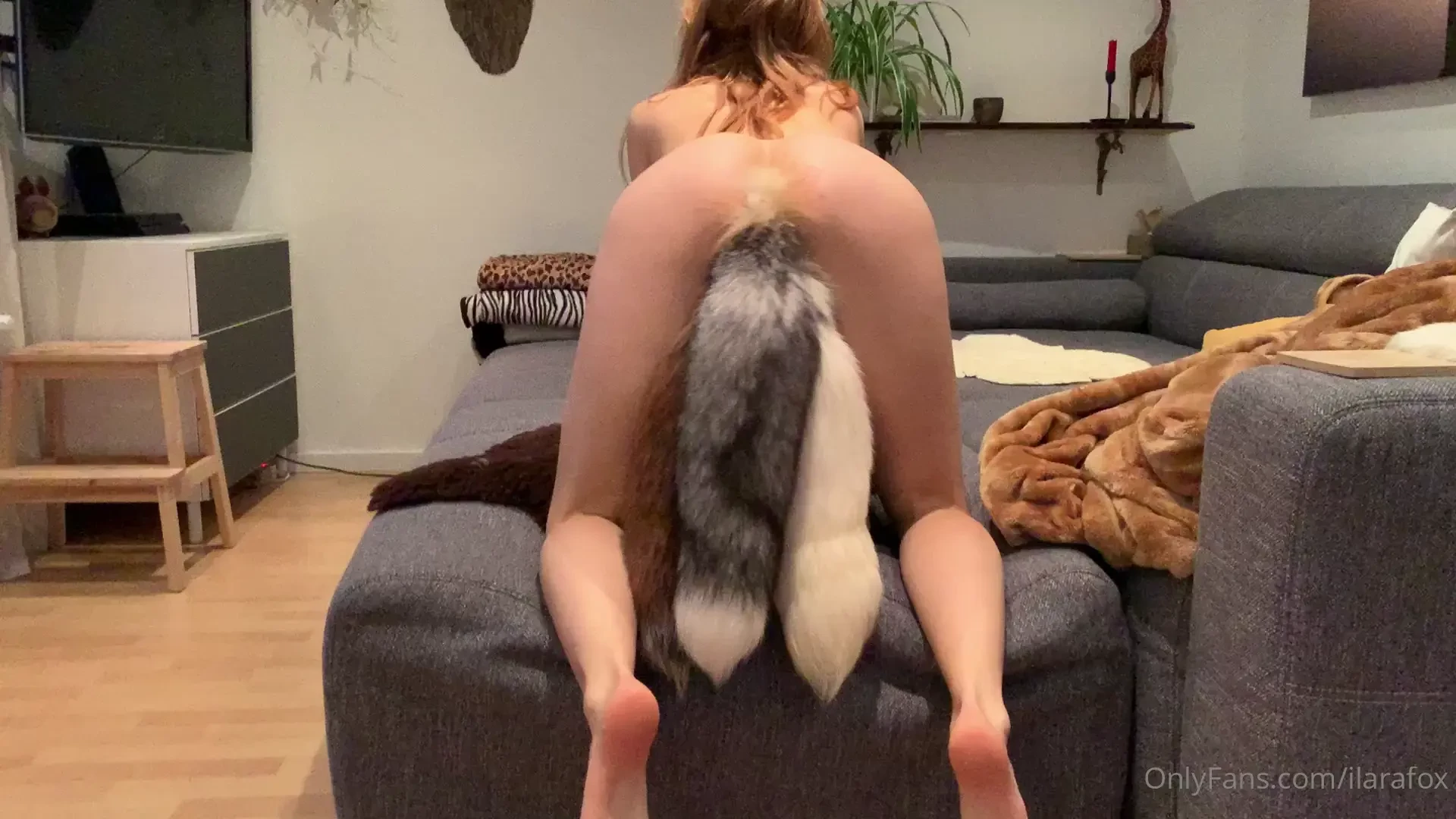 Have you ever seen something like this it s called the 