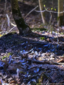 Getting better day by day how re you hun fyp selfie nature redhead part 2