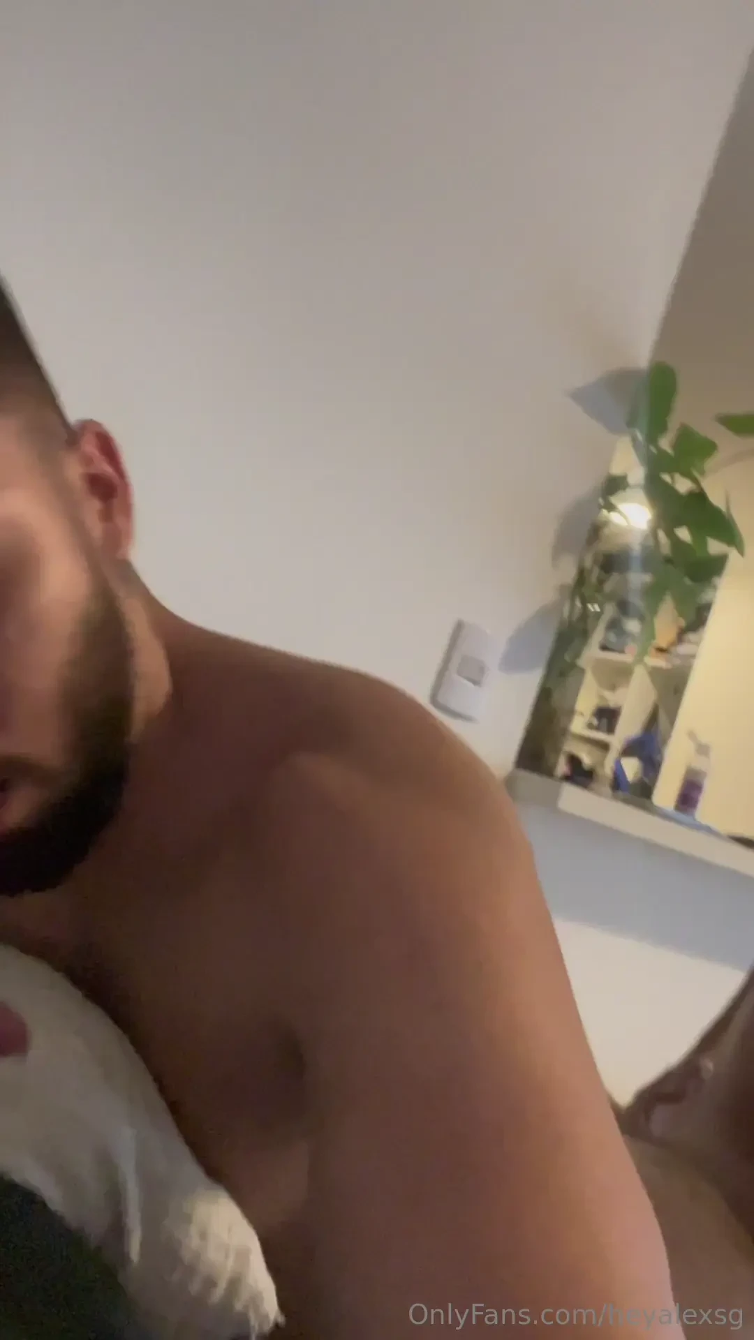 Segunda parte y regalo de navidad 