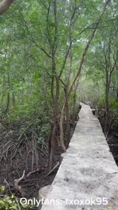 Let s get into jungle