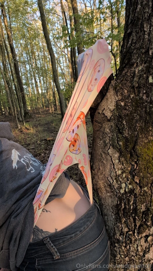 Come for a walk in the woods with me 