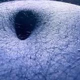 blueberry80225