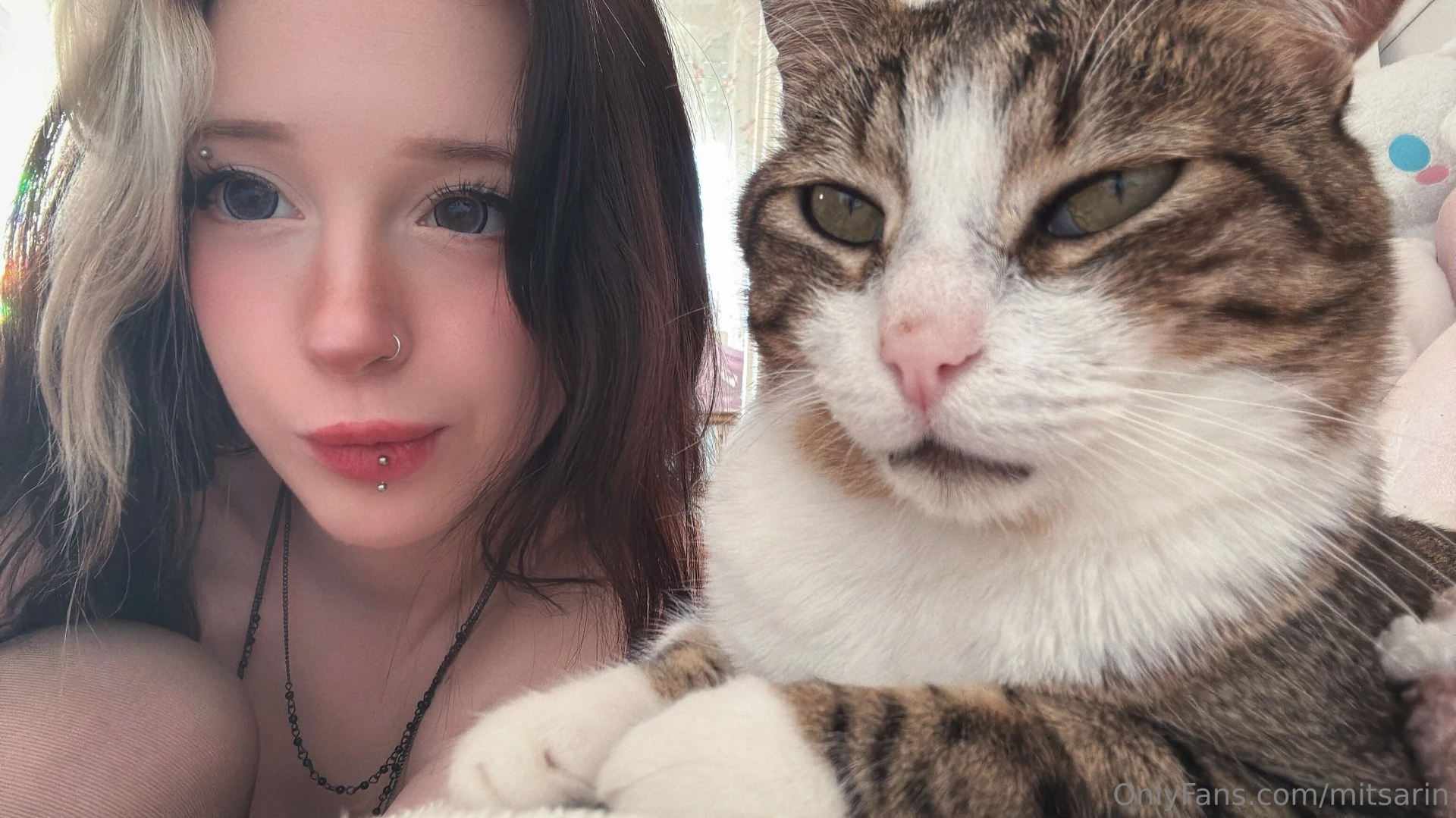 Pick a favorite i bet you can t 