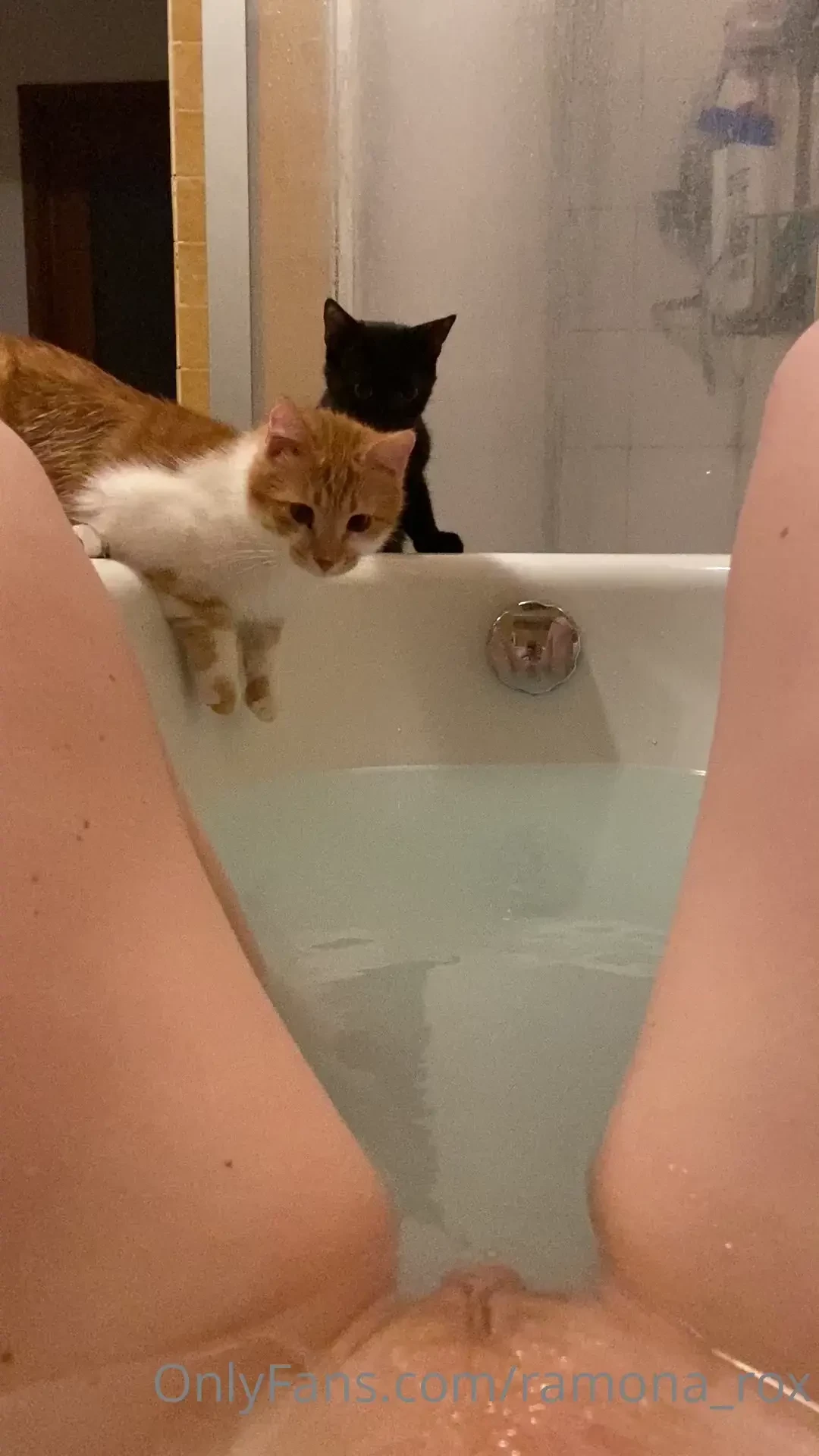 3 pussies in one video 