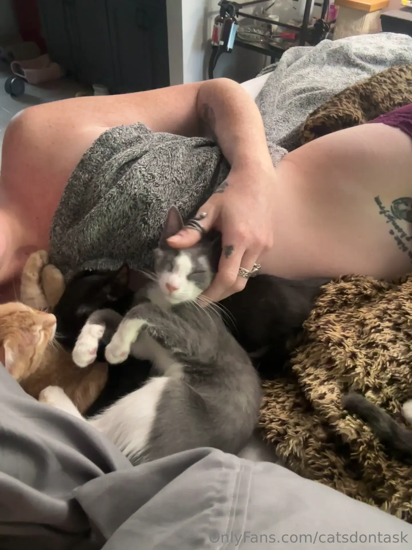 All purrs when you climb into my bed 