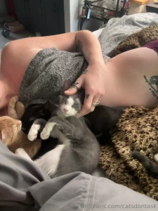 All purrs when you climb into my bed