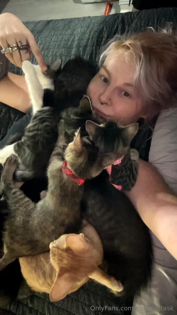 Catsdontask part 1 