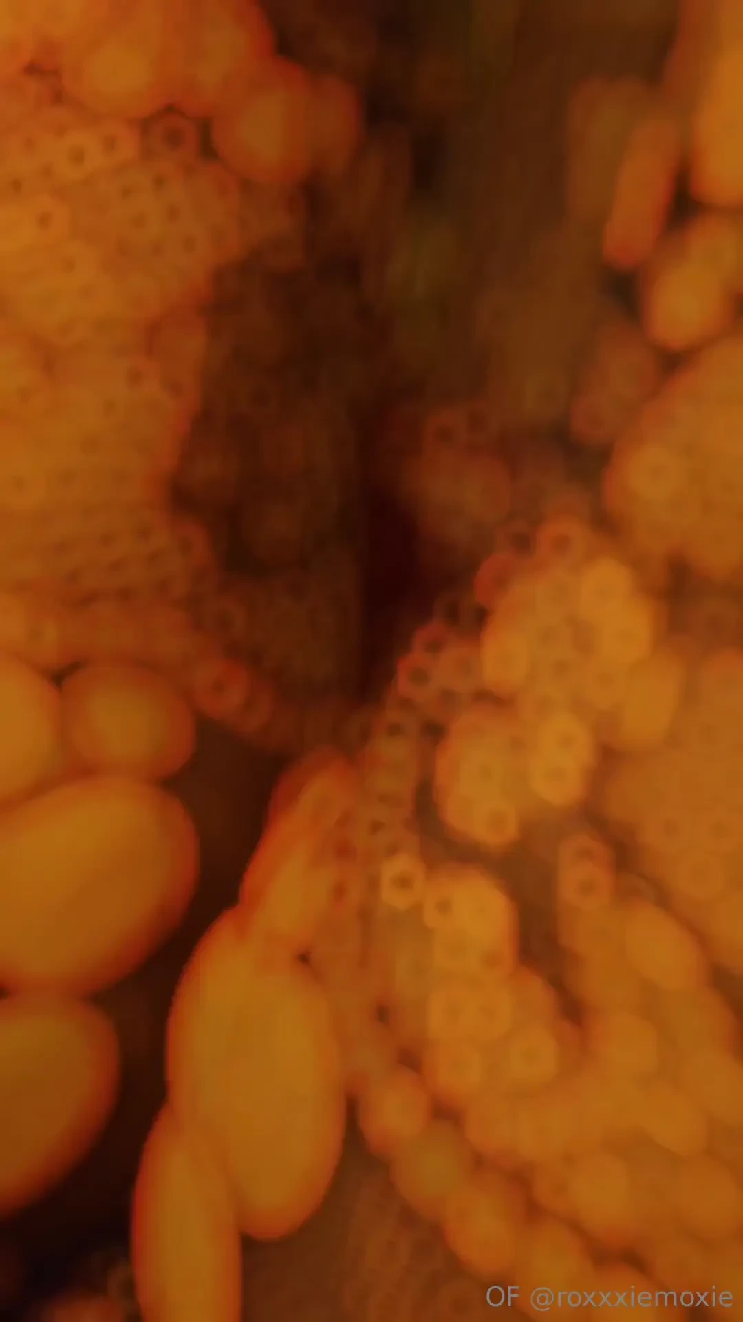 If you guys wonder what i do when i disappear it s shit like this 