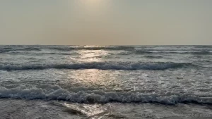 Sadly while i was at the beach it was way too windy to take any photos