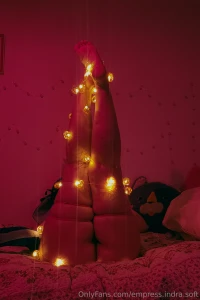 Do you like the christmas tree