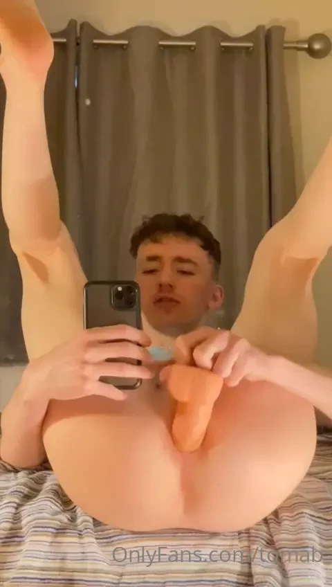 Bitgayisntit 