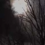 pegasus_adrienne