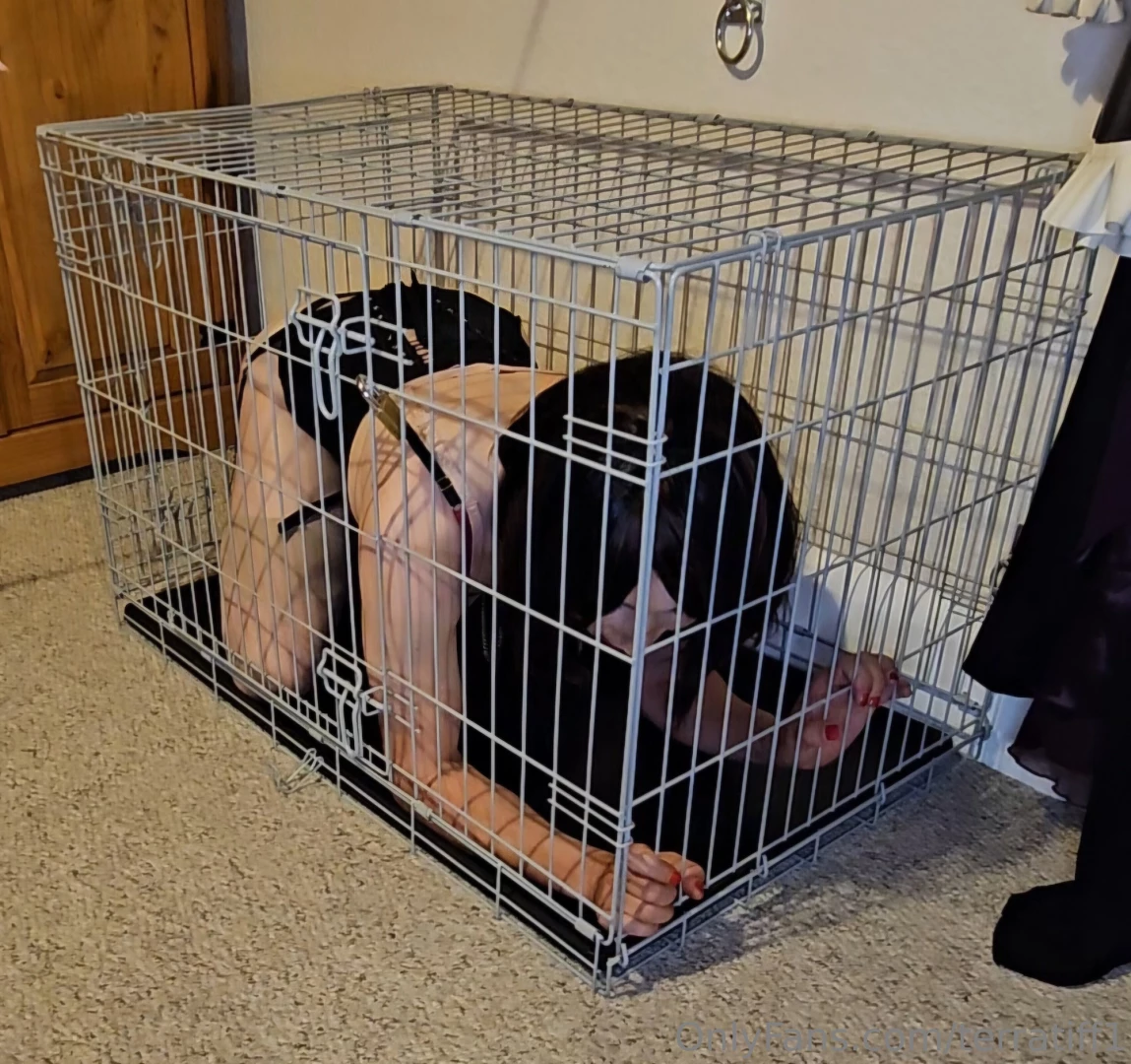 A few more pics of me locked in my cage 