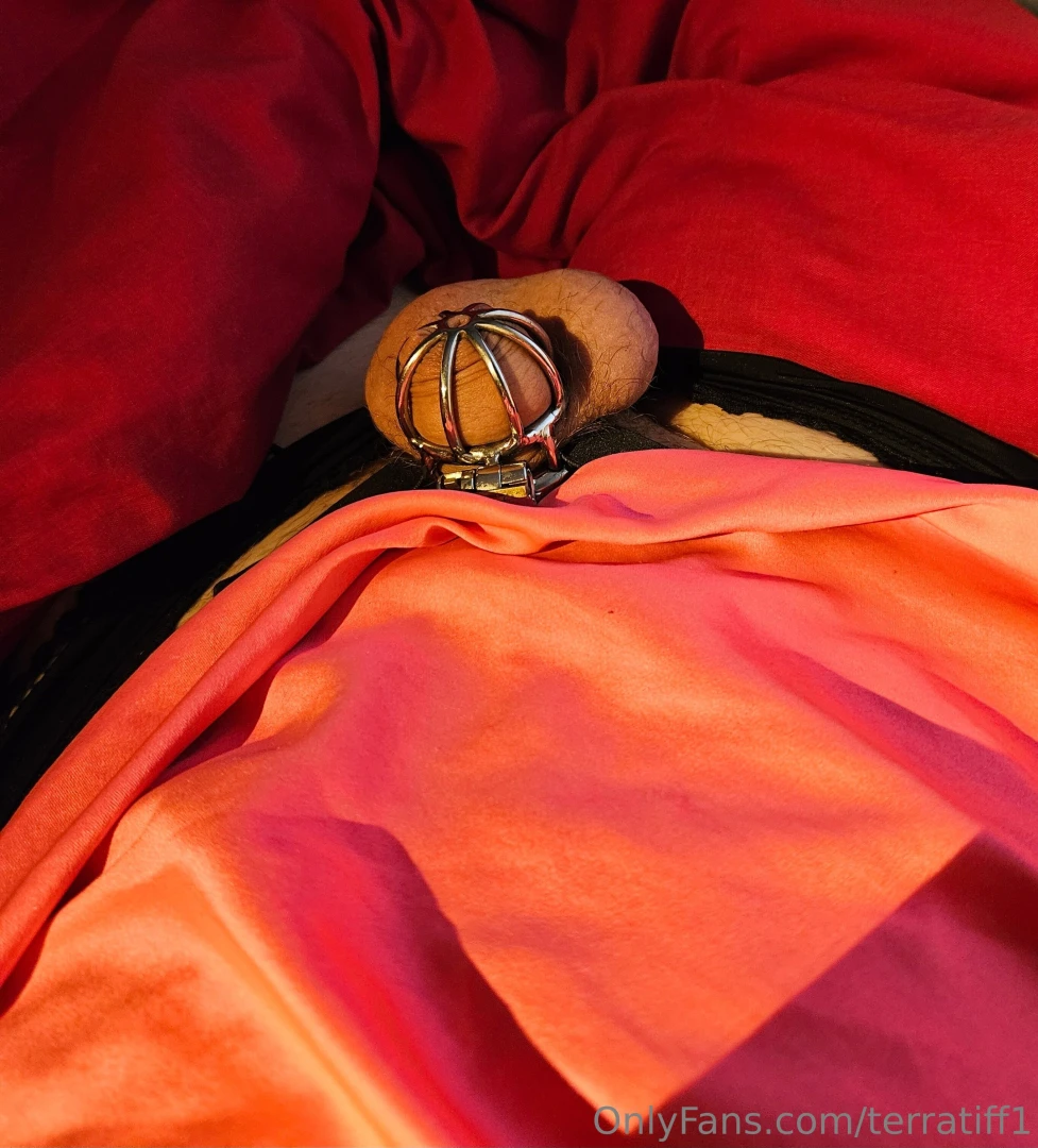 Clitty all locked away night night 