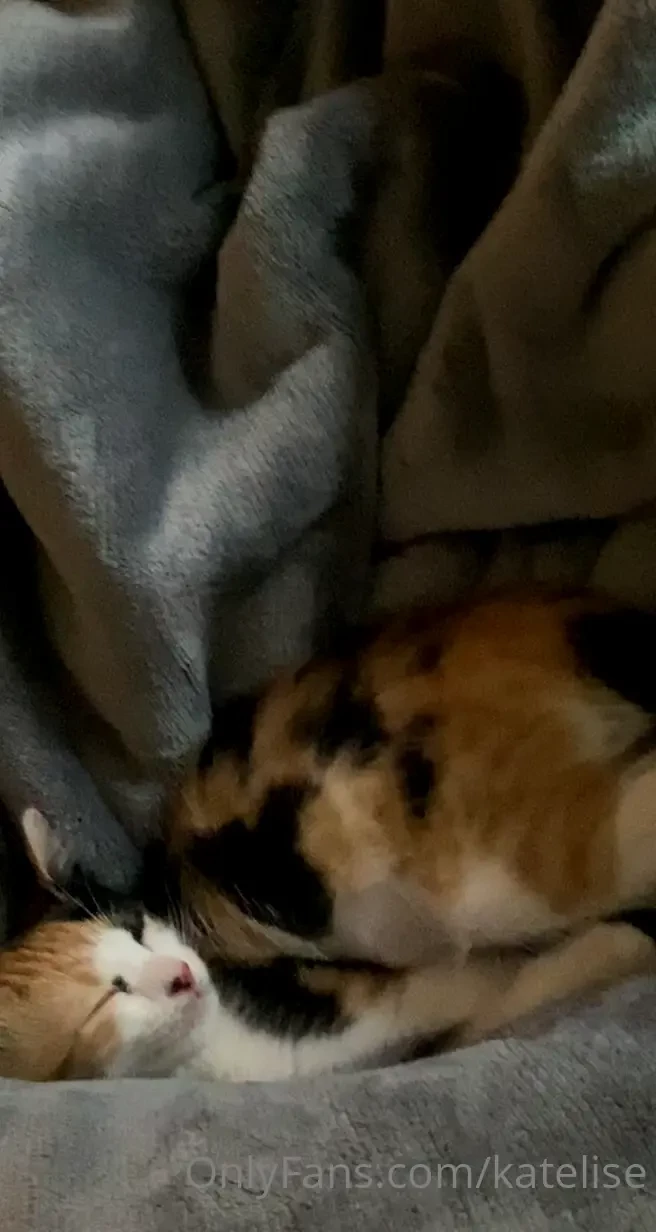 Me t arrietty da baby she likes to sleep on my ass 