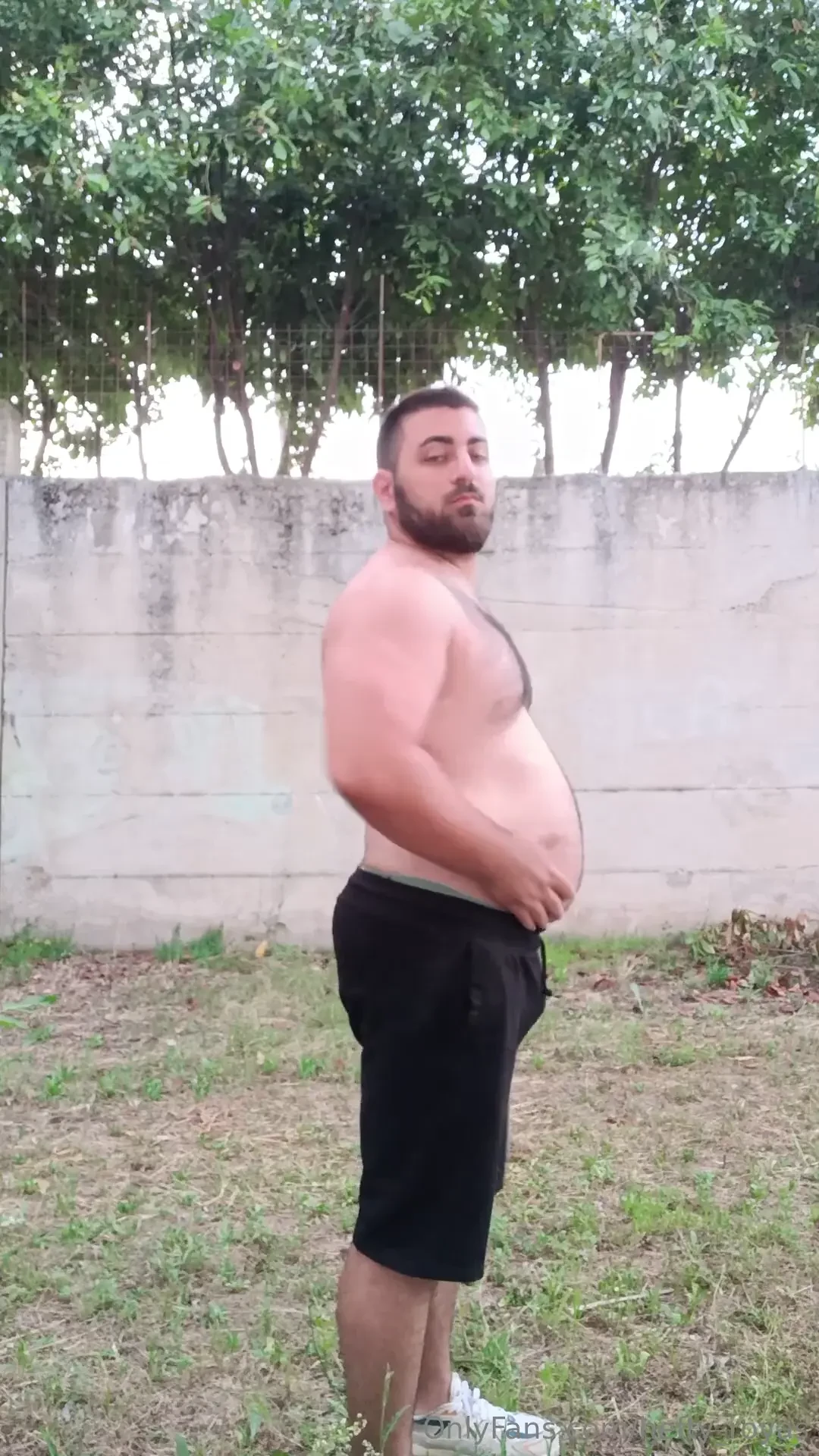 Bear in the wild 