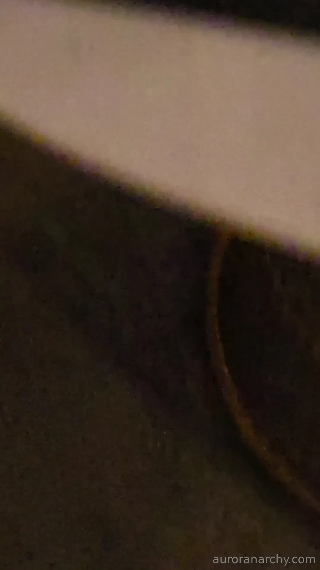 Should we do an anal video next 