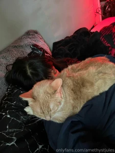 Literally nothing on the agenda today so just chillin and seeing where