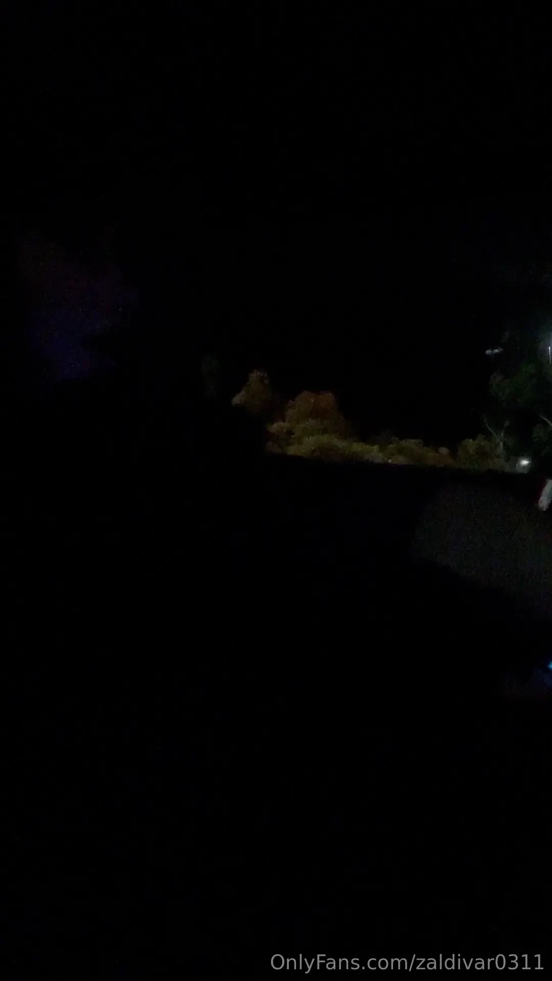 Using my favorite vibrator in the backseat of my car while charging 