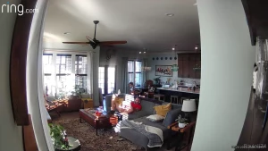Sometimes i forget i have a security camera - motion detected