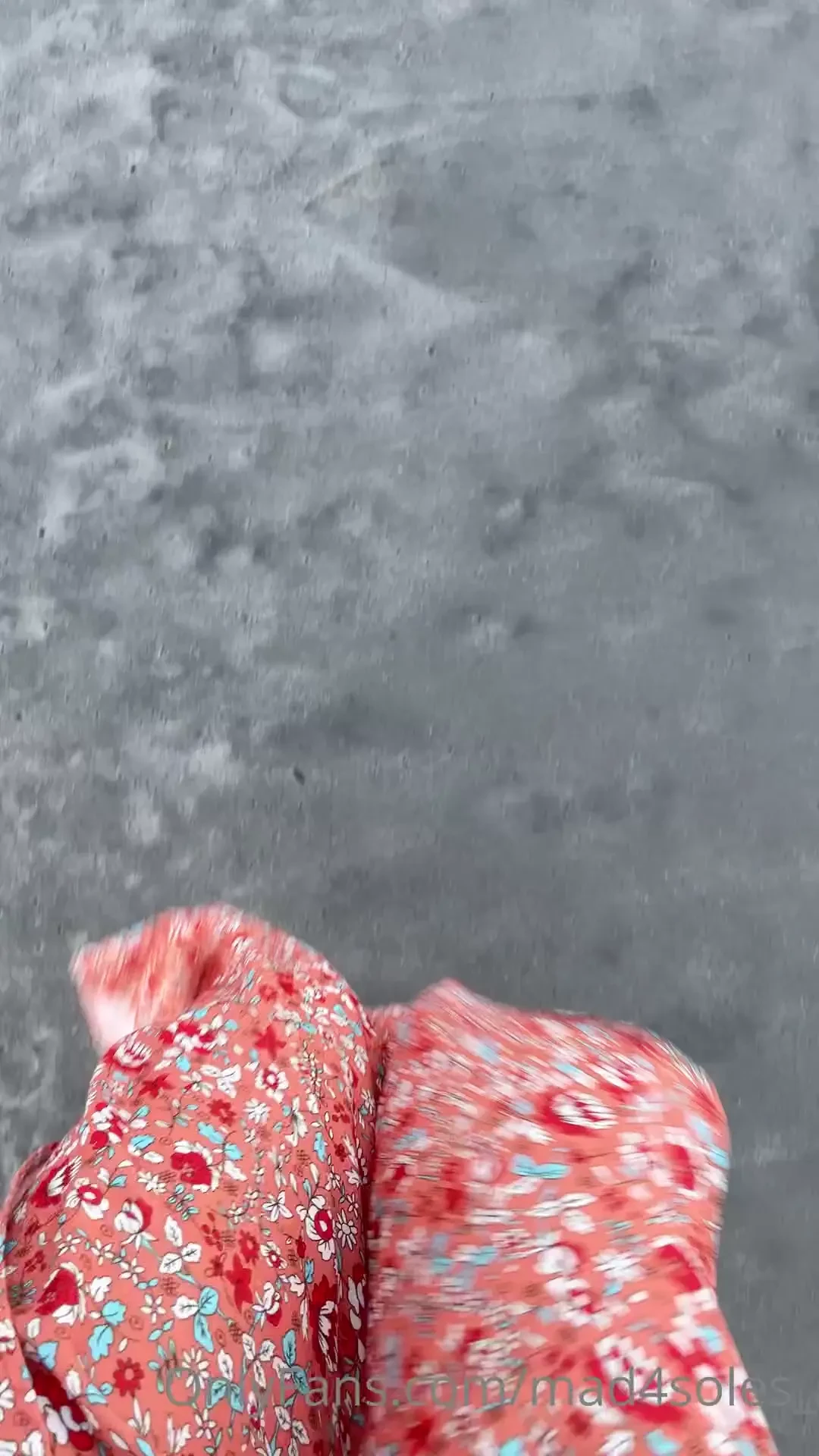 Let me put you on a leash and take you on a walk on the beach with me 