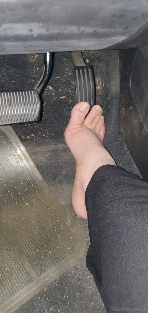 Let s jump in the car amp go for a spin i hope you don t mind that i 