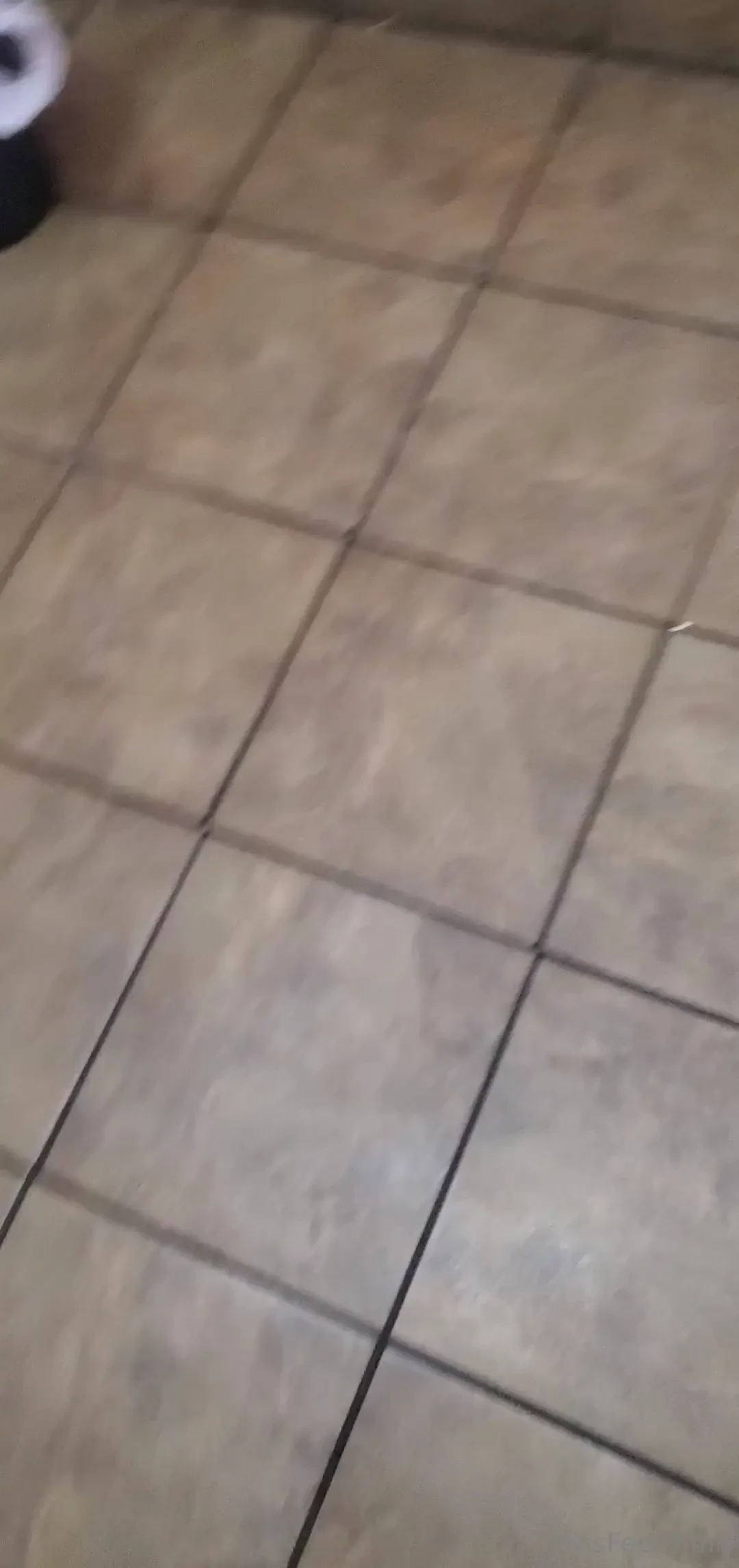 Sometimes walking clips can be a little difficult to follow but one of 