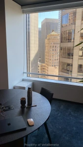 Lets fuck with that view