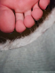 Dumb tiny now you re stuck living in my smelly slippers licking my