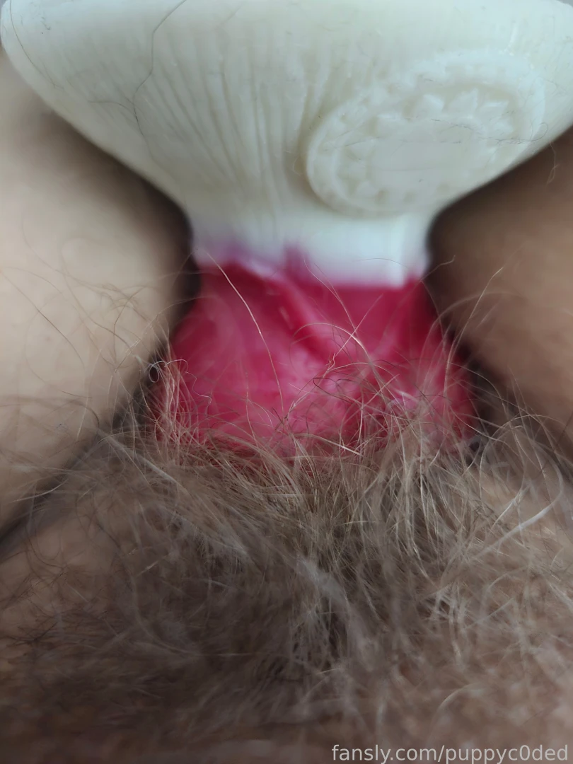 Late night hole posting bush hairypussy knotdildo asshole 