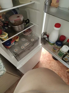 The little pig is going to finish off the fridge now it s your job to