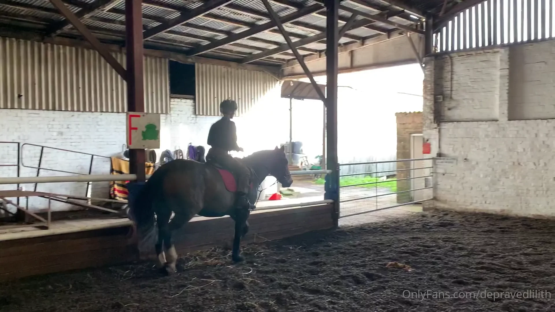 Look at me this is my second time having a horse riding lesson - ever 