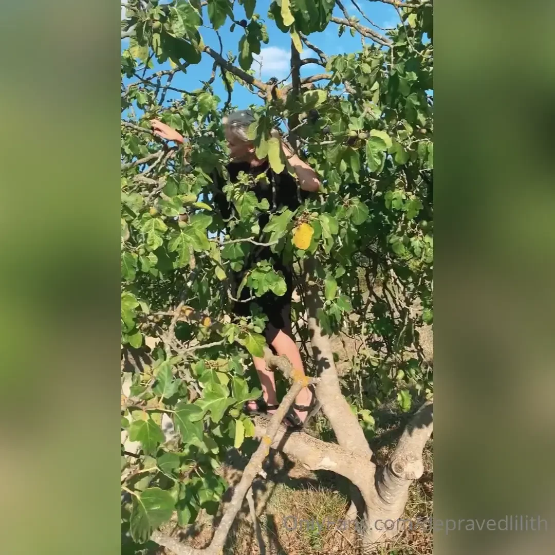 Although look at this i miss italy so much here i m picking figs of 